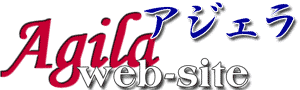 Agila web site